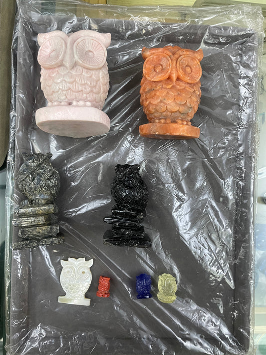 Owls in different crystals