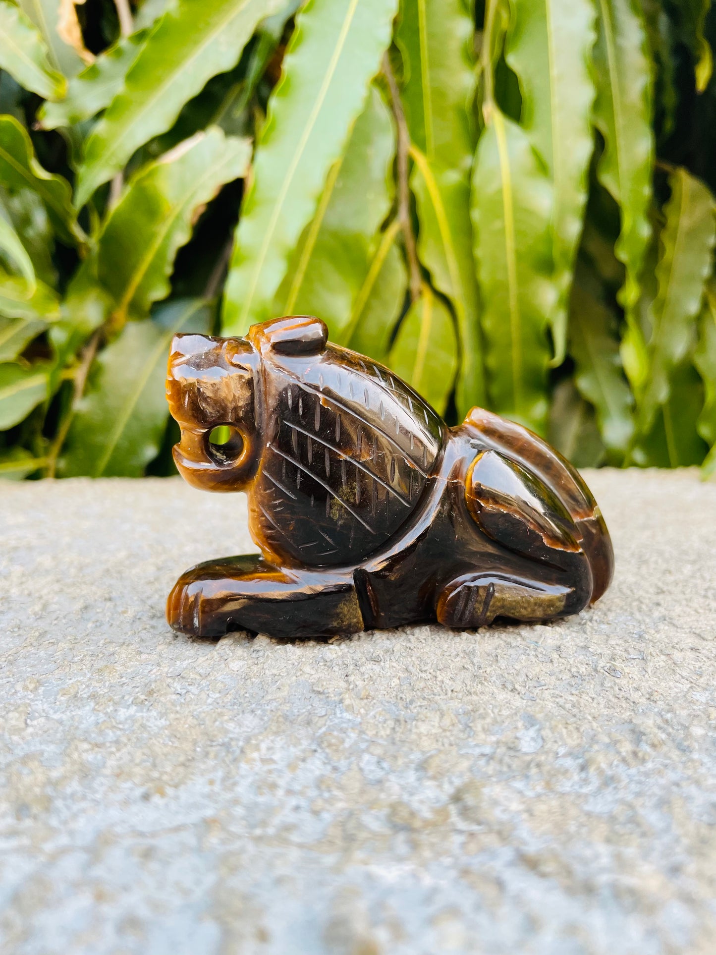 Lion in tiger eye Gemstone