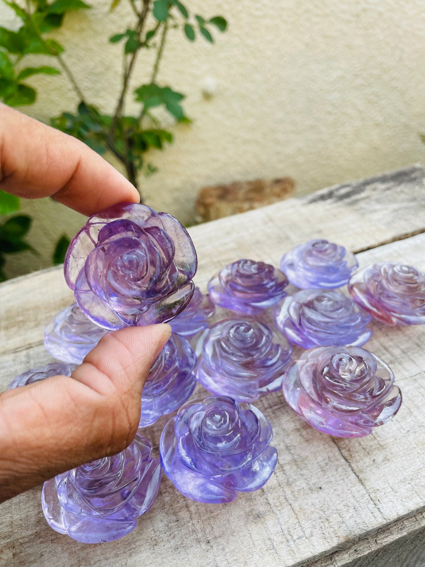 Brazilian Amethyst Flowers