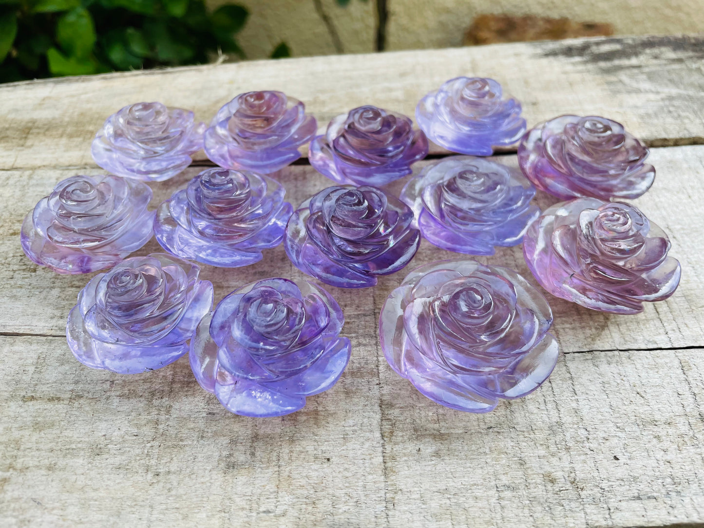 Brazilian Amethyst Flowers