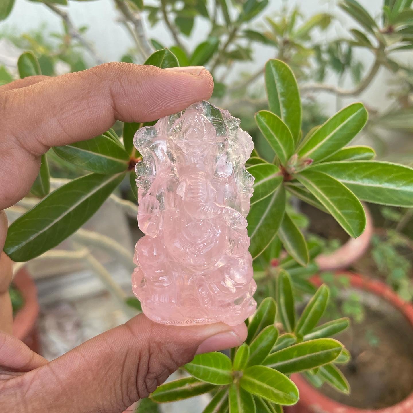 Rose Quartz ganesha