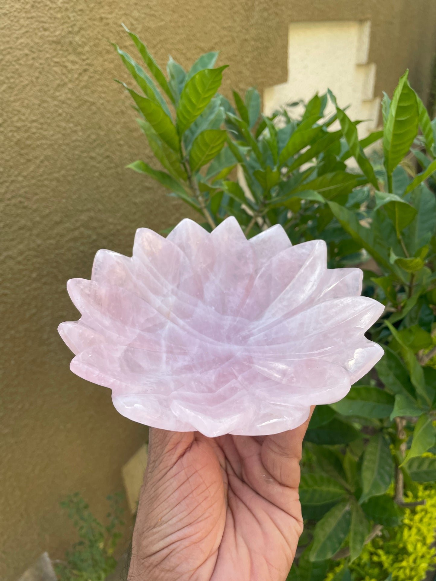 Rose Quartz Lotus bowls