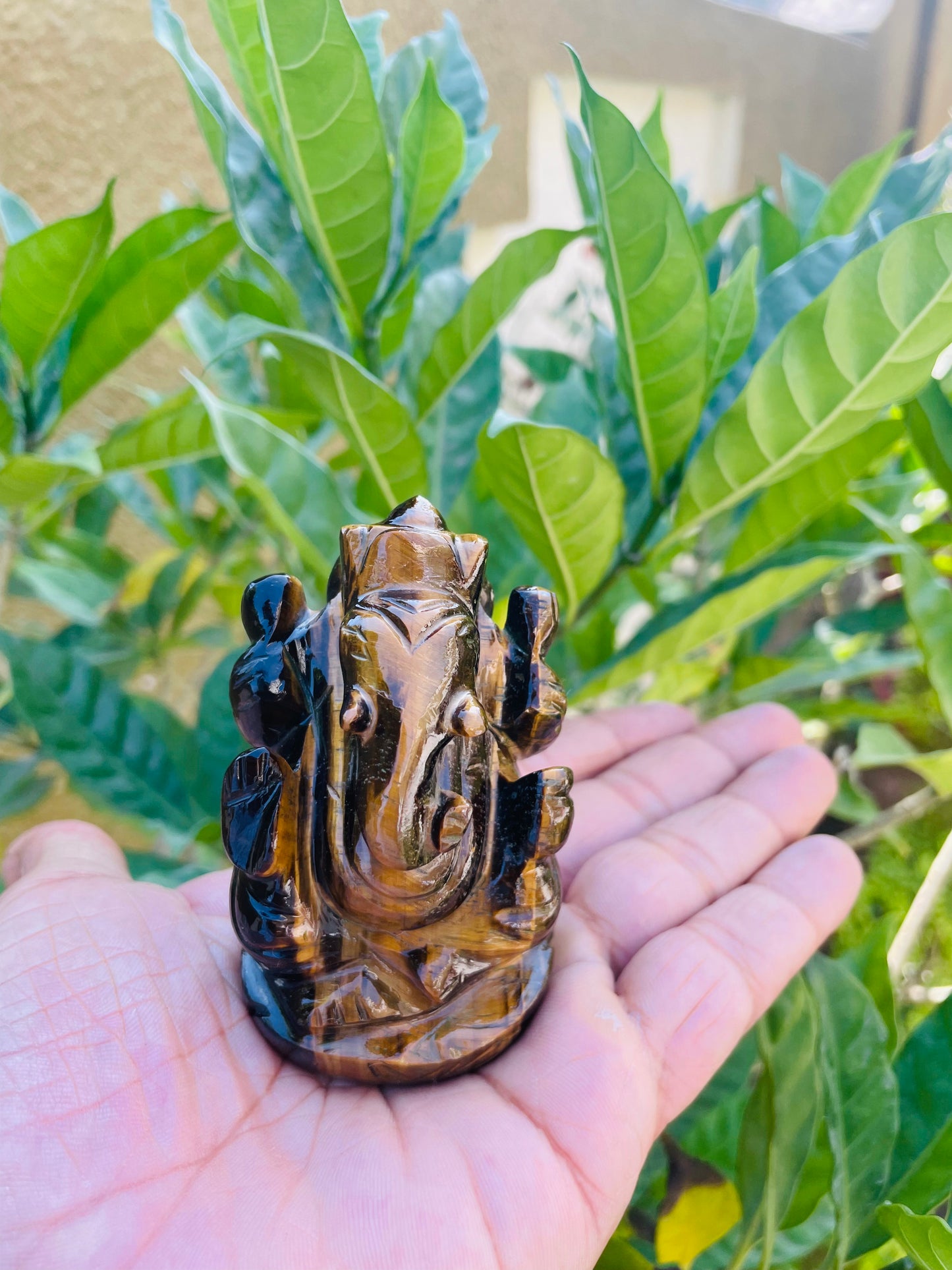 Tiger eye Ganesha