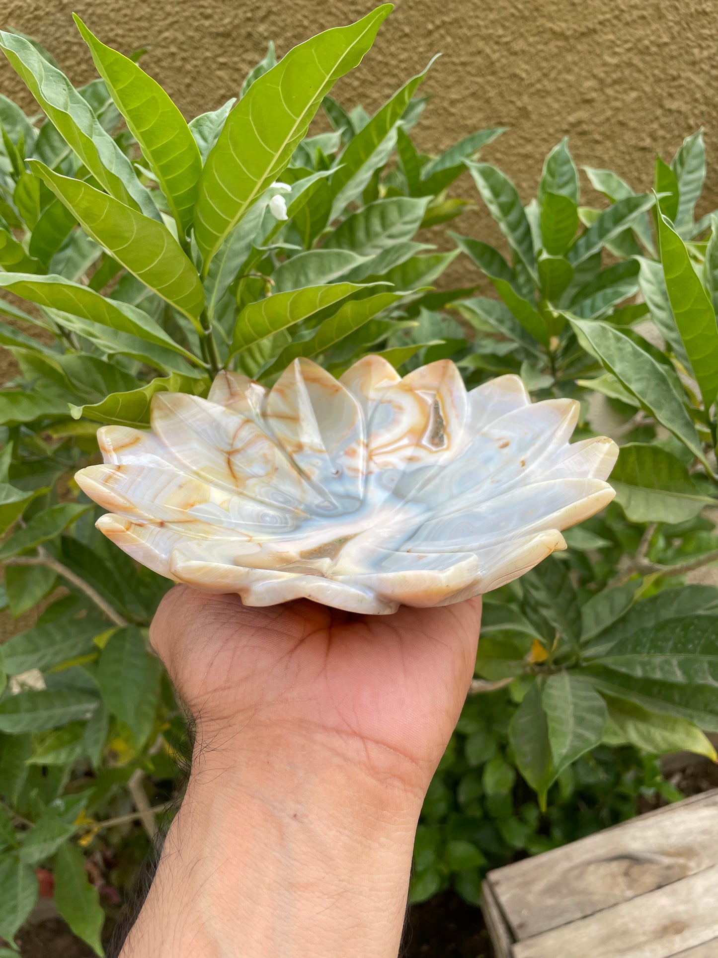 Carnelian bowls in lotus shape