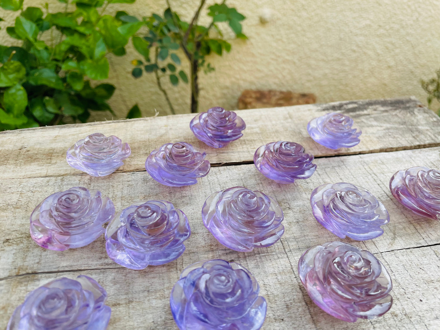 Brazilian Amethyst Flowers