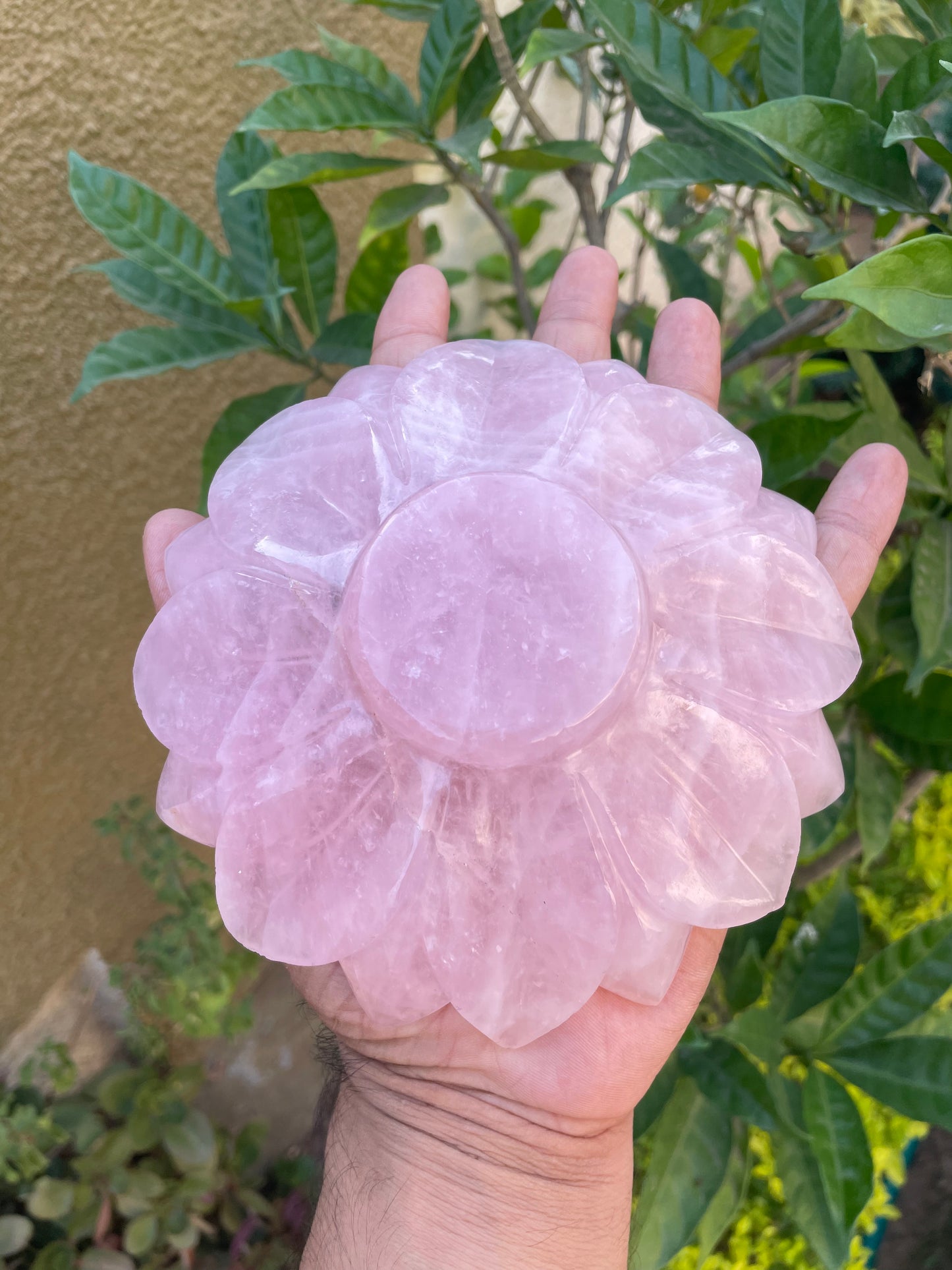 Rose Quartz Lotus bowls