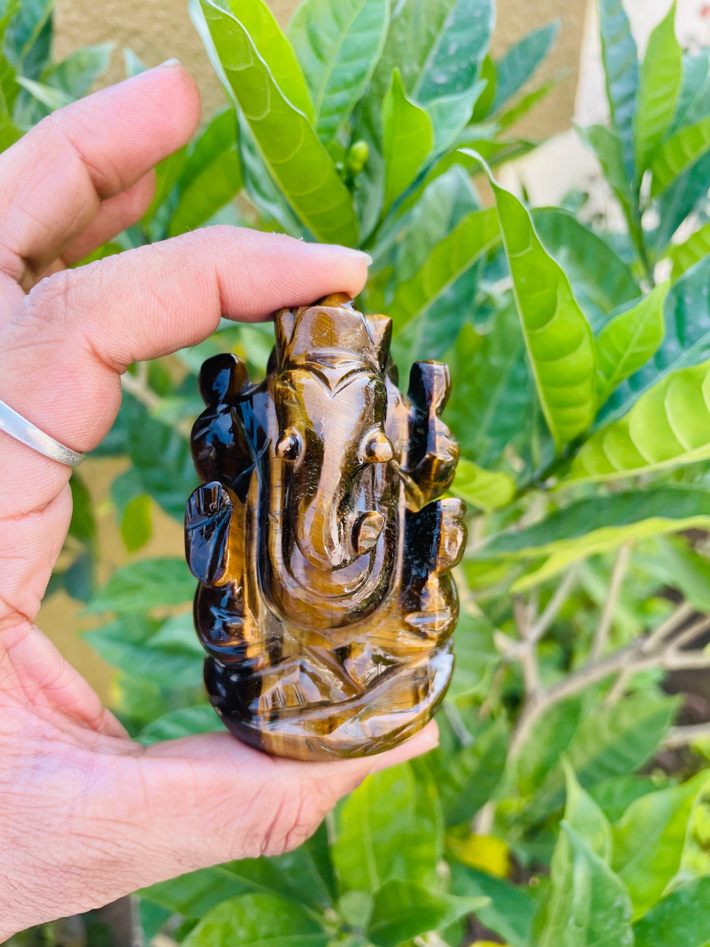 Tiger eye Ganesha