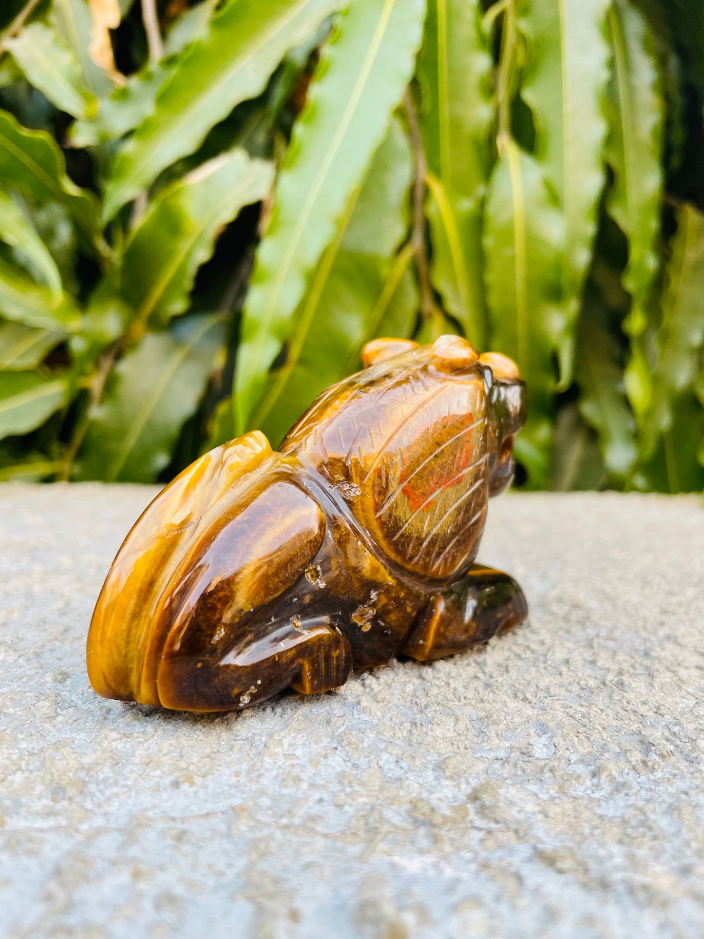 Lion in tiger eye Gemstone