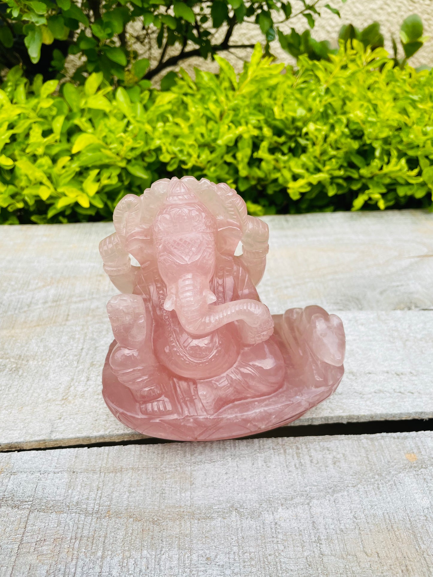 Rose Quartz Ganesha in top quality