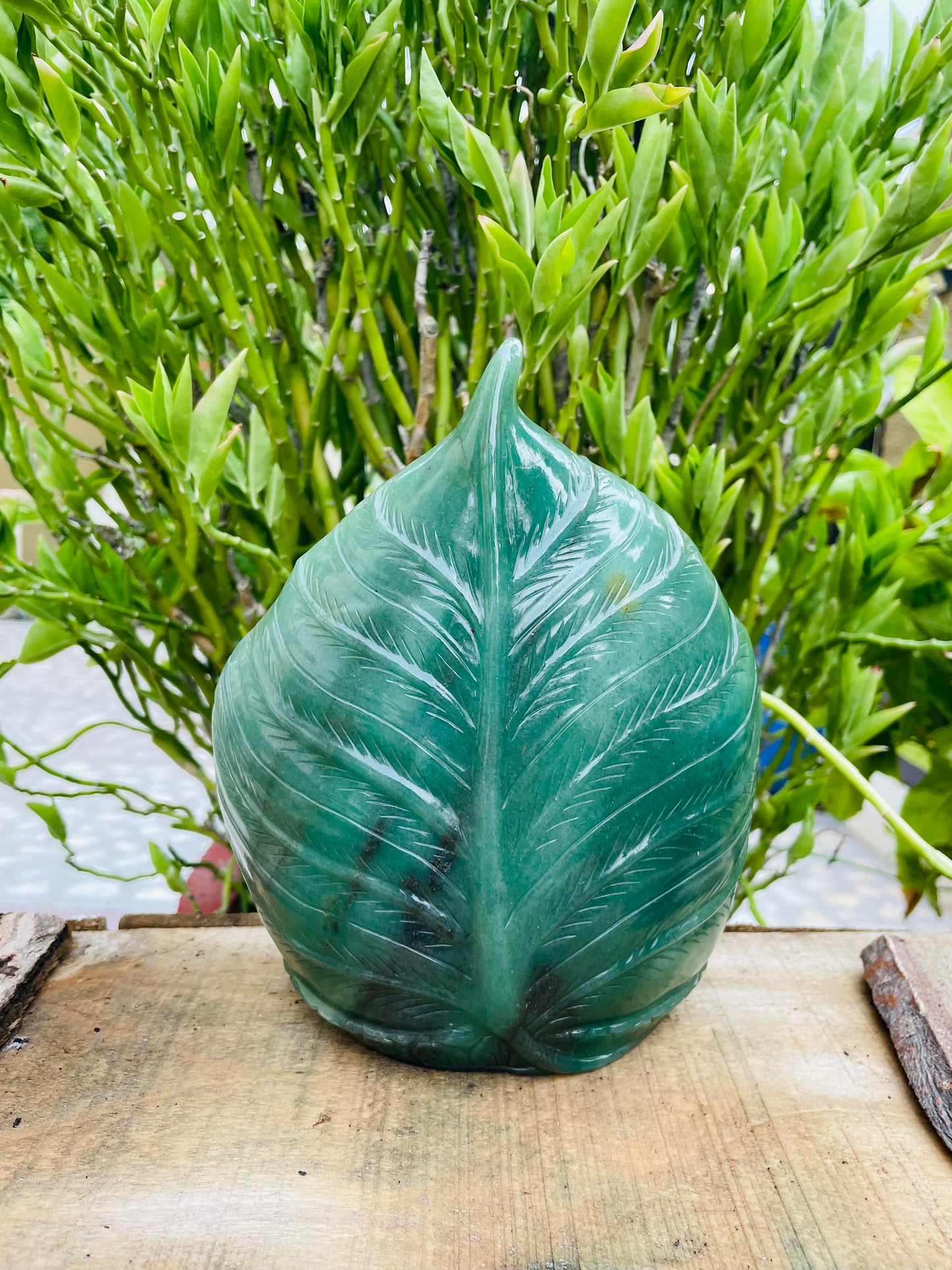 Green aventurine Buddha with leaf backdrop