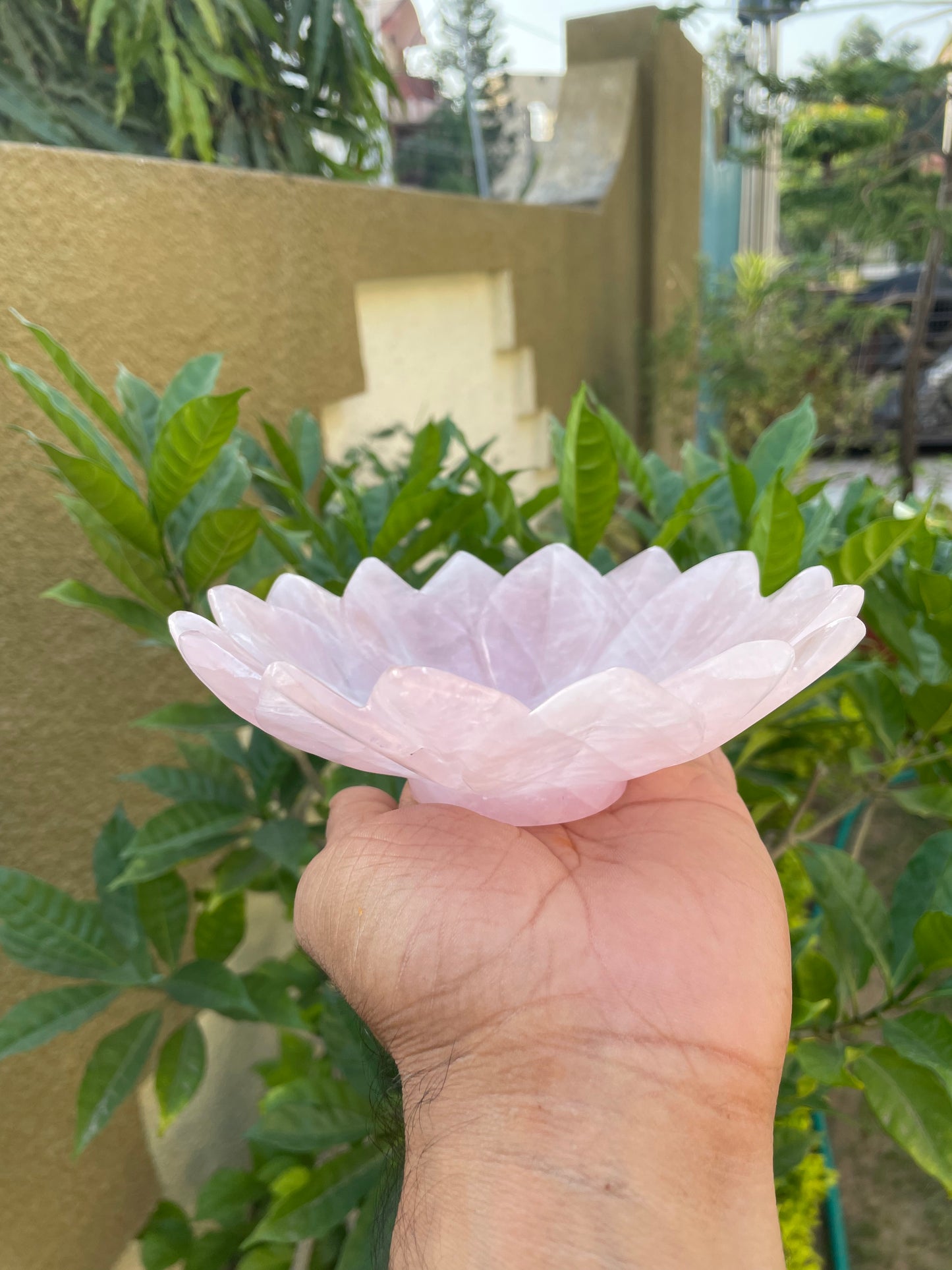 Rose Quartz Lotus bowls