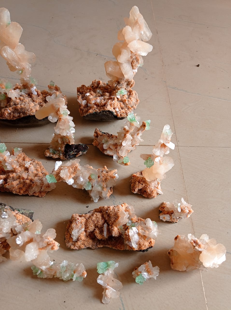 Apophylite, shells, bowl