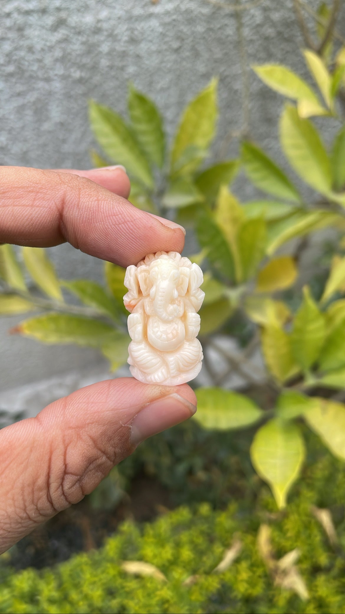 White coral Ganesha