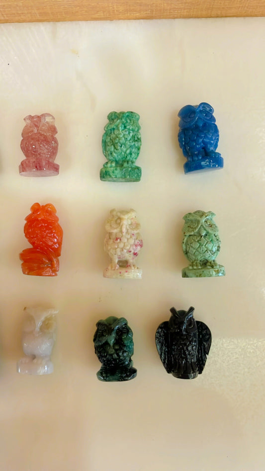 Owls in different crystals