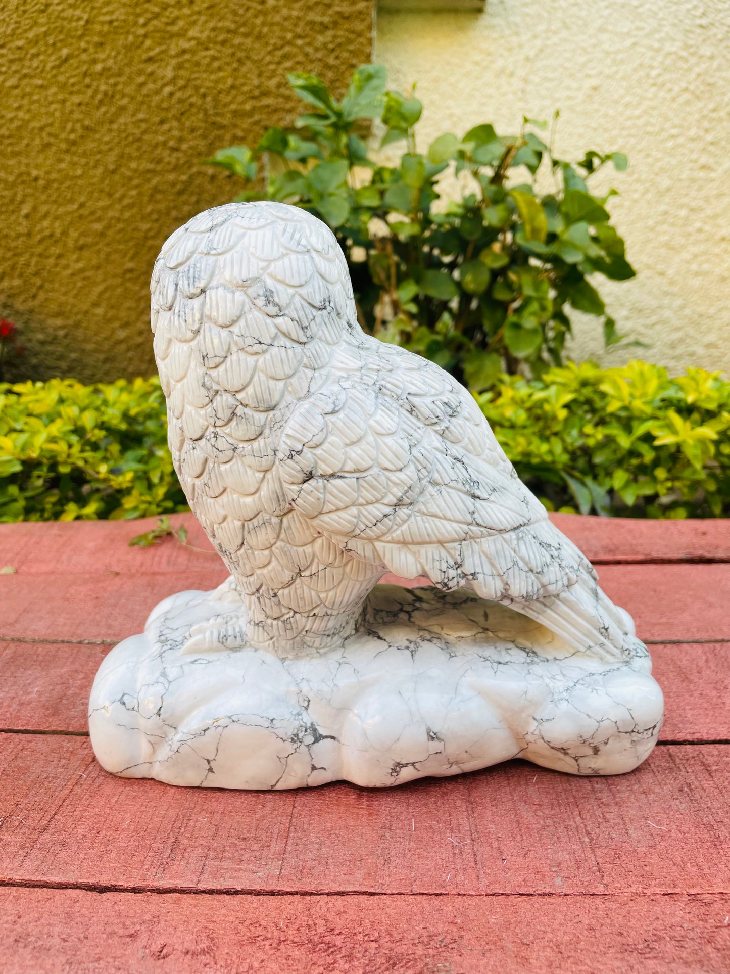 Howlite owl