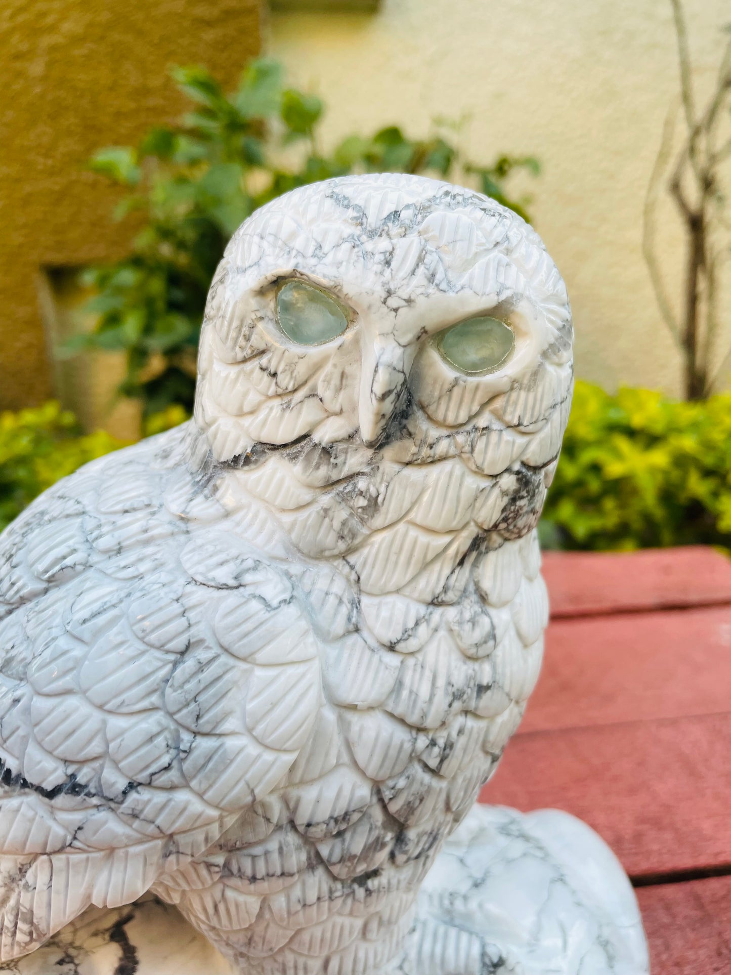 Howlite owl