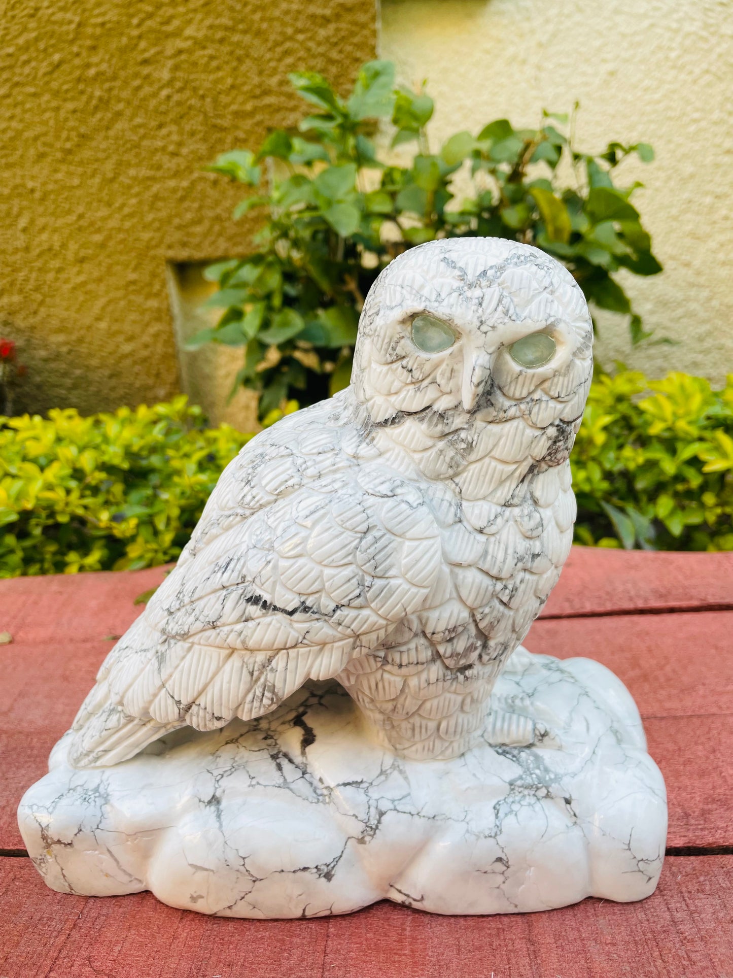 Howlite owl